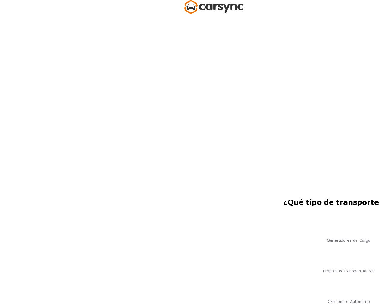 carsync.com