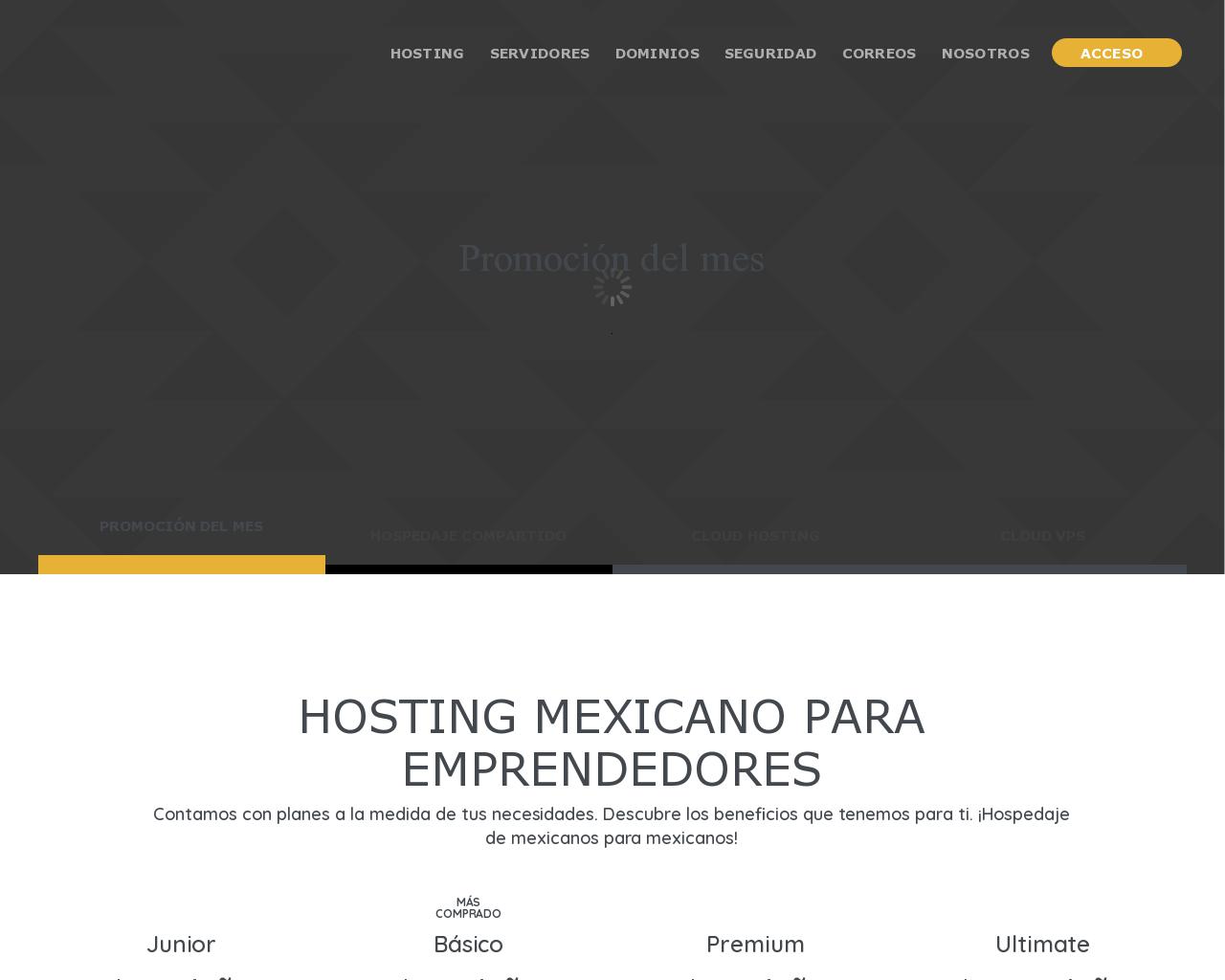 hosting-mexico.net